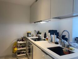 Nathan Suites (D10), Condominium #617031191